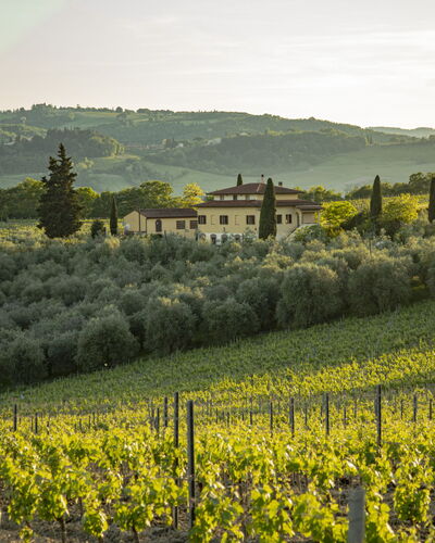 Podere San Michele