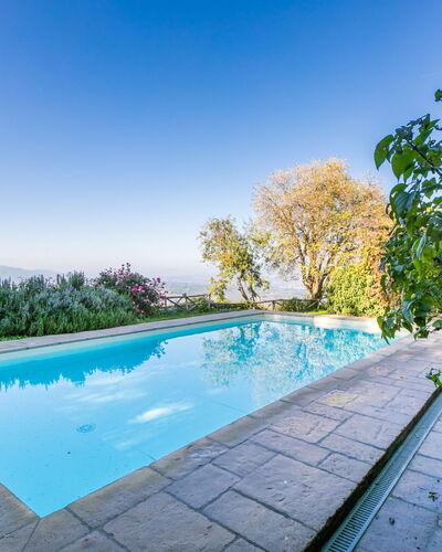 Belvedere
