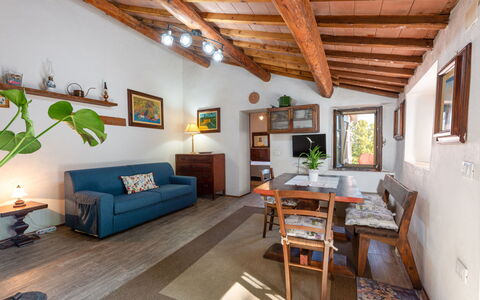 La Casina: Bilderrahmen, Couch, Möbel, Zimmerpflanze, Pflanze, Wohnzimmer, Fenster, Interior Design, Holz, Fussboden