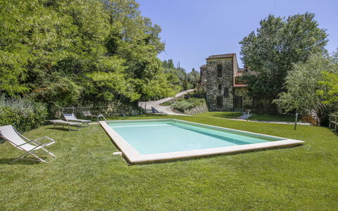 Florence 646: Pflanze, Himmel, Schwimmbad, Schatten, Baum, Rechteck, Gras, Strauch, Urban Design, Erholung