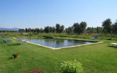 Roccastrada 623: Pflanze, Natürliche Landschaft, Garten, Grundstueck, Strauch, Garten, Schwimmbad, Park, Rasen, Landscaping