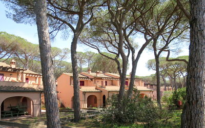 Follonica 701: Eigentum, Baum, Gebäude, Hazienda, Haus, Grundeigentum, Die Architektur, Gehölz, Zuhause, Nachbarschaft