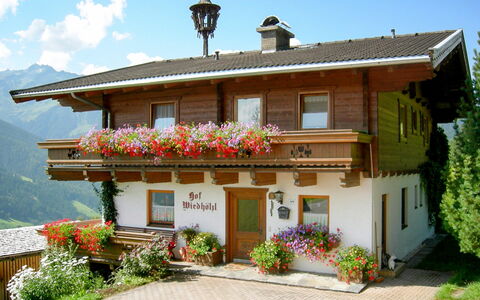 Bramberg am Wildkogel 697: Pflanze, Blume, Himmel, Wolke, Gebäude, Eigentum, Fenster, Tür, Haus, Baum