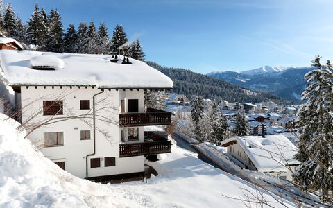 Bergsicht: Schnee, Winter, Berg, Bergforms, Eigentum, Himmel, Gebirge, Alpen, Haus, Einfrieren