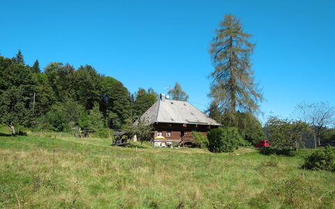 Bistenhof: Natürliche Landschaft, Eigentum, Haus, Baum, Wildnis, Ländliches Gebiet, Wiese, Wiese, Hütte, Grundstueck