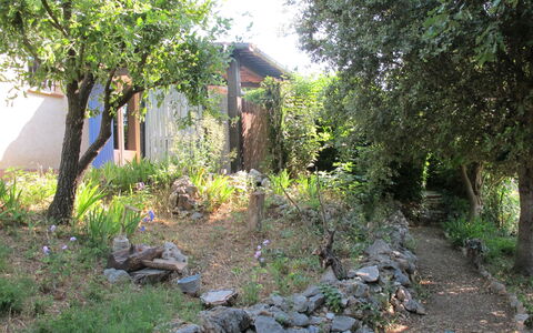 Villa Audrey: Pflanze, Pflanzengemeinschaft, Gebäude, Baum, Natürliche Landschaft, Grundstueck, Vegetation, Bedrock, Haus, Gras