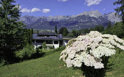 Saalfelden am Steinernen Meer 613: Bergforms, Blume, Berg, Gebirge, Bergstation, Garten, Alpen, Grat, Senke, Gipfel