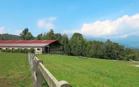 La Bertolina: Wiese, Weide, Gras, Eigentum, Natürliche Landschaft, Grundstueck, Bauernhof, Ländliches Gebiet, Wiese, Himmel