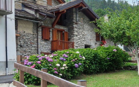 Ivan: Blume, Pflanze, Gebäude, Eigentum, Fenster, Haus, Baum, Himmel, Holz, Hütte
