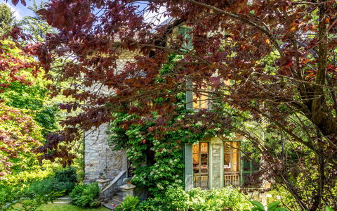 Villa Biino: Pflanze, Eigentum, Fenster, Natürliche Landschaft, Baum, Zweig, Kofferraum, Gras, Laub