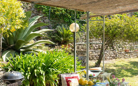 Molini di Prelà 627: Pflanze, Blumentopf, Botanik, Zimmerpflanze, Stuhl, Gelb, Schatten, Gras, Terrestrische Plant, Landschaft