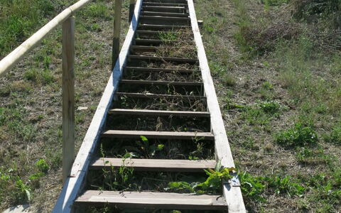 Roseto degli Abruzzi 620: Treppe, Walkway, Gras, Baum, Promenade, Pflanzengemeinschaft, Pflanze, Nonbuilding Struktur