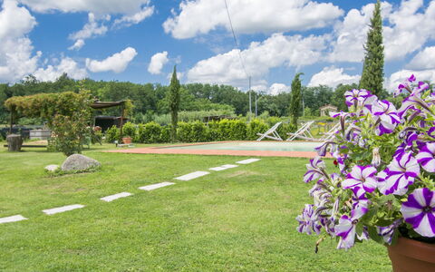 Daussiè: Garten, Gras, Daytime, Himmel, Rasen, Blume, Pflanze, Botanik, Frühling, Baum