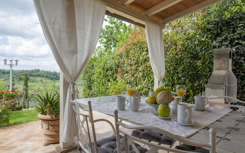 L' Ulivo: Pflanze, Tabelle, Eigentum, Möbel, Blumentopf, Geschirr, Holz, Gebäude, Veranda, Zimmerpflanze