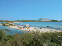 San Teodoro 731