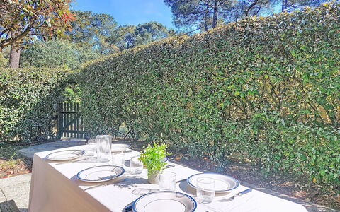 Les Jardins de Lacanau: Strauch, Hecke, Ground, Garten, Schatten, Landscaping, Plantage, Immergrün