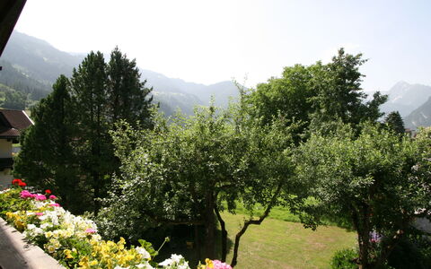 Klocker: Blume, Himmel, Pflanze, Pflanzengemeinschaft, Berg, Grün, Natürliche Landschaft, Baum, Gras, Freizeit