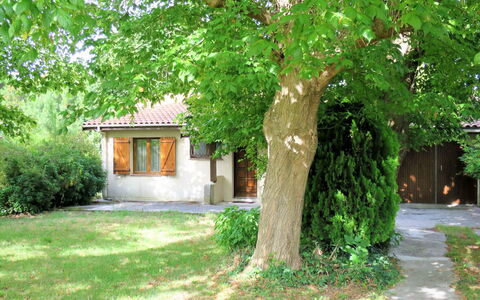 La Rose des Sables: Pflanze, Gebäude, Ast, Baum, Fenster, Schatten, Natürliche Landschaft, Grundstueck, Kofferraum, Landschaft