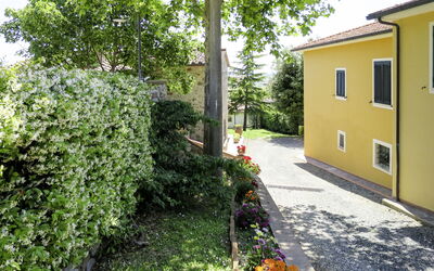 Pastina 649