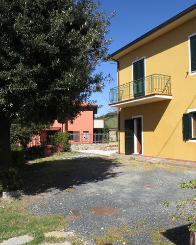 Castagno 649.4