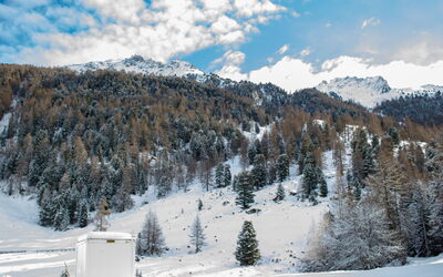 Siviez-Nendaz 649