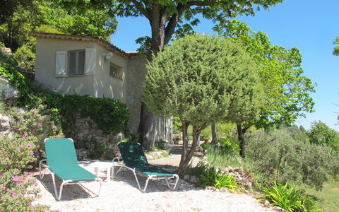 Le Cabanon: Vegetation, Strauch, Frühling, Hütte, Garten, Schatten, Hinterhof, Garten, Stuhl