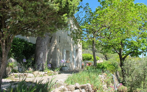 Le Cabanon: Vegetation, Strauch, Frühling, Hütte, Garten, Schatten, Hinterhof, Garten, Stuhl