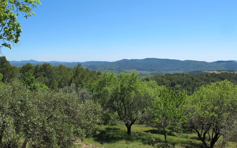 Le Cabanon: Vegetation, Strauch, Frühling, Hütte, Garten, Schatten, Hinterhof, Garten, Stuhl