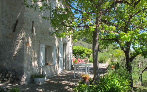 Le Cabanon: Vegetation, Strauch, Frühling, Hütte, Garten, Schatten, Hinterhof, Garten, Stuhl