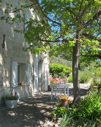 Le Cabanon: Vegetation, Strauch, Frühling, Hütte, Garten, Schatten, Hinterhof, Garten, Stuhl