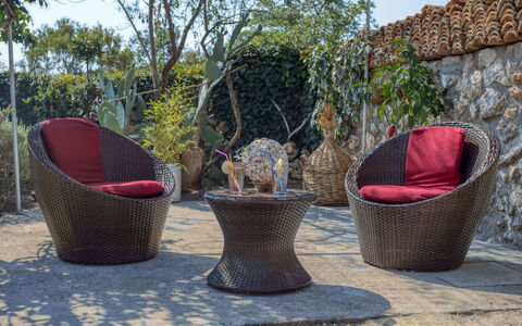 Maria: Wicker, Blumentopf, Baum, Botanik, Möbel, Pflanze, Stuhl, Freizeit, Strauch, Garten