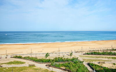 Hossegor 40