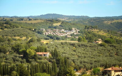 Magliano In Toscana 603