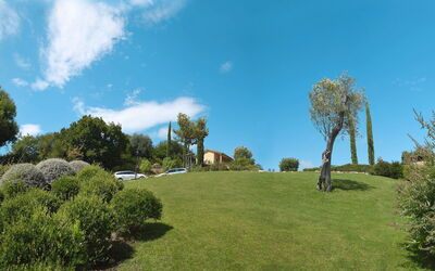 Magliano In Toscana 603