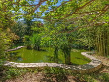 Oasis