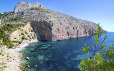 Altea 763