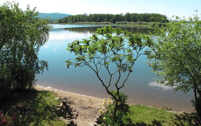 Pondside Retreat & Canoe