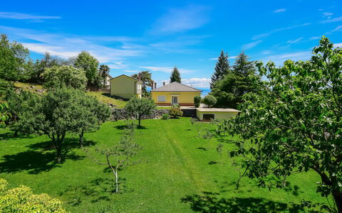 Sandra: Wolke, Pflanze, Himmel, Natürliche Landschaft, Baum, Grundstueck, Gras, Hütte, Einfach, Gebäude