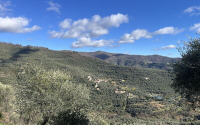 Valloria 602