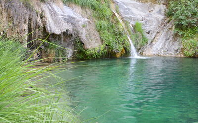 Valloria 602