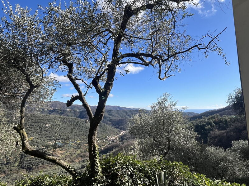 Il Mulino (Vlo207)