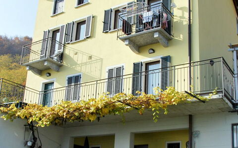 Casa Bel Sit: Blume, Pflanze, Himmel, Gebäude, Fenster, Eigentum, Botanik, Grün, Haus, Gelb