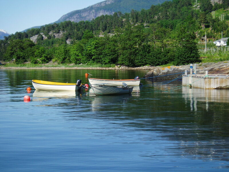 Utsikten (Fjh770)