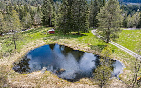 Fjellro: Baum, Natürliche Landschaft, Landschaft, Tarn, Bank, Wildnis, Wald, Teich, Reflexion, Lärche