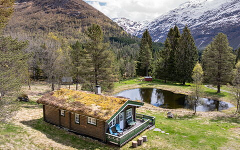 Fjellro: Gras, Natürliche Landschaft, Haus, Landschaft, Hütte, Ländliches Gebiet, Hochland, Hütte, Zuhause, Gebirge