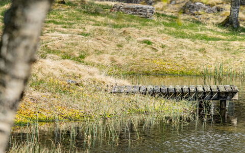 Fjellro: Wasser, Natürlichen Umgebung, Natürliche Landschaft, Sumpf, Bank, Wasserlauf, Pflanzengemeinschaft