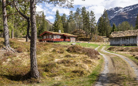 Fjellbris: Gras, Baum, Bergforms, Berg, Natürliche Landschaft, Haus, Hochland, Landschaft, Hütte