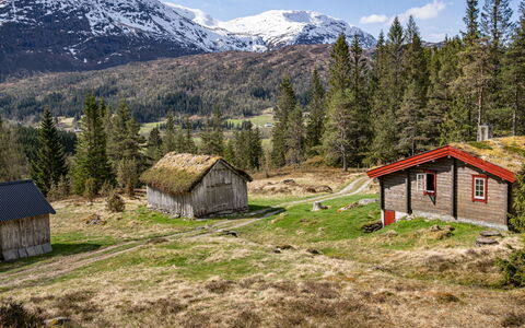 Fjellbris: Bergforms, Gras, Berg, Hügel, Natürliche Landschaft, Wiese, Hochland, Haus, Landschaft
