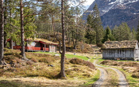 Fjellbris: Gras, Bergforms, Berg, Natürliche Landschaft, Haus, Hochland, Hügel, Hütte, Landschaft