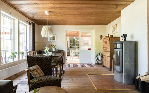 Vänneböke: Pflanze, Fenster, Holz, Zimmerpflanze, Interior Design, Wohnzimmer, Fussboden, Flooring, Bilderrahmen, Blumentopf